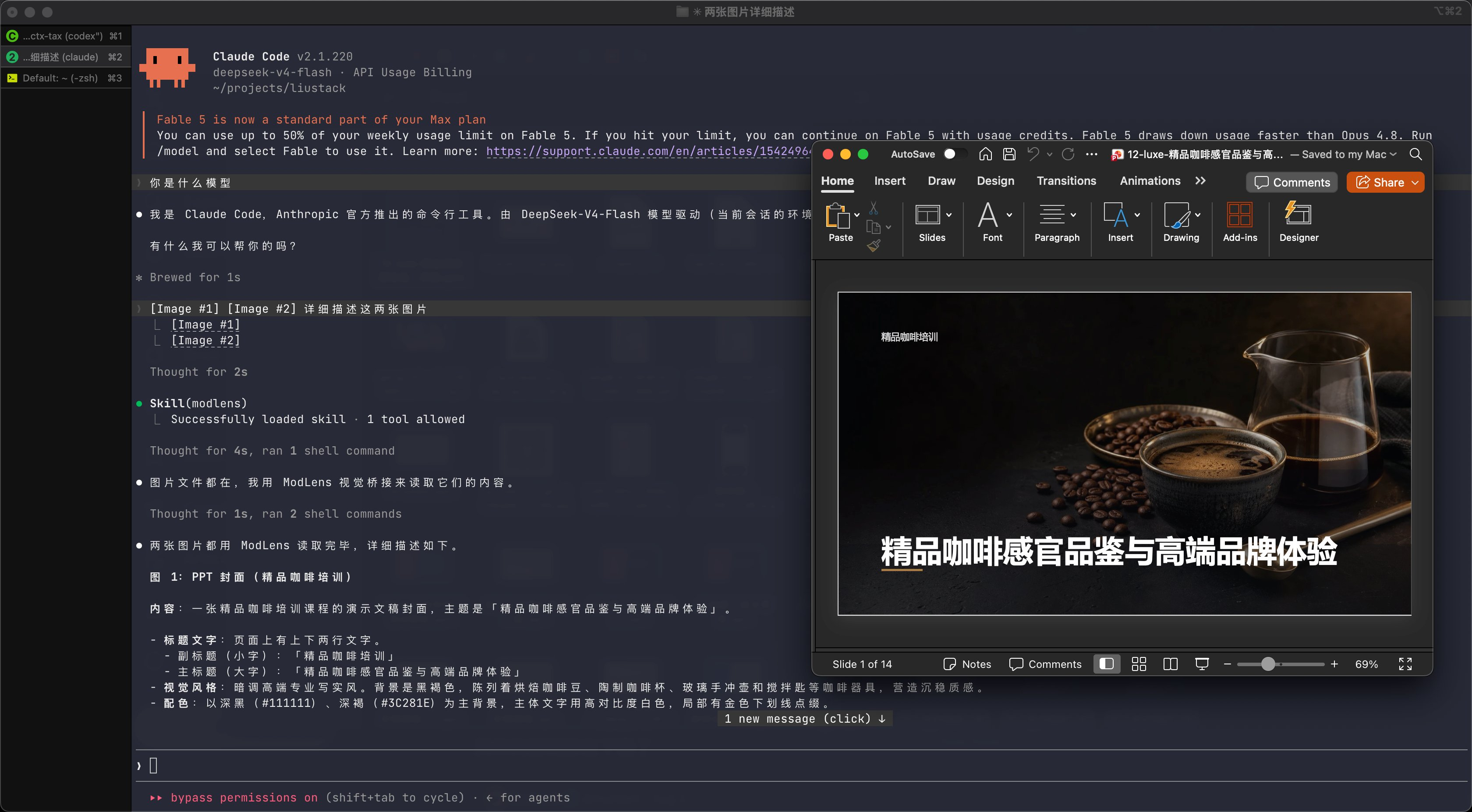 接了 DeepSeek-V4-Flash 的 Claude Code 里，粘贴的两张图被捞回并逐张读出